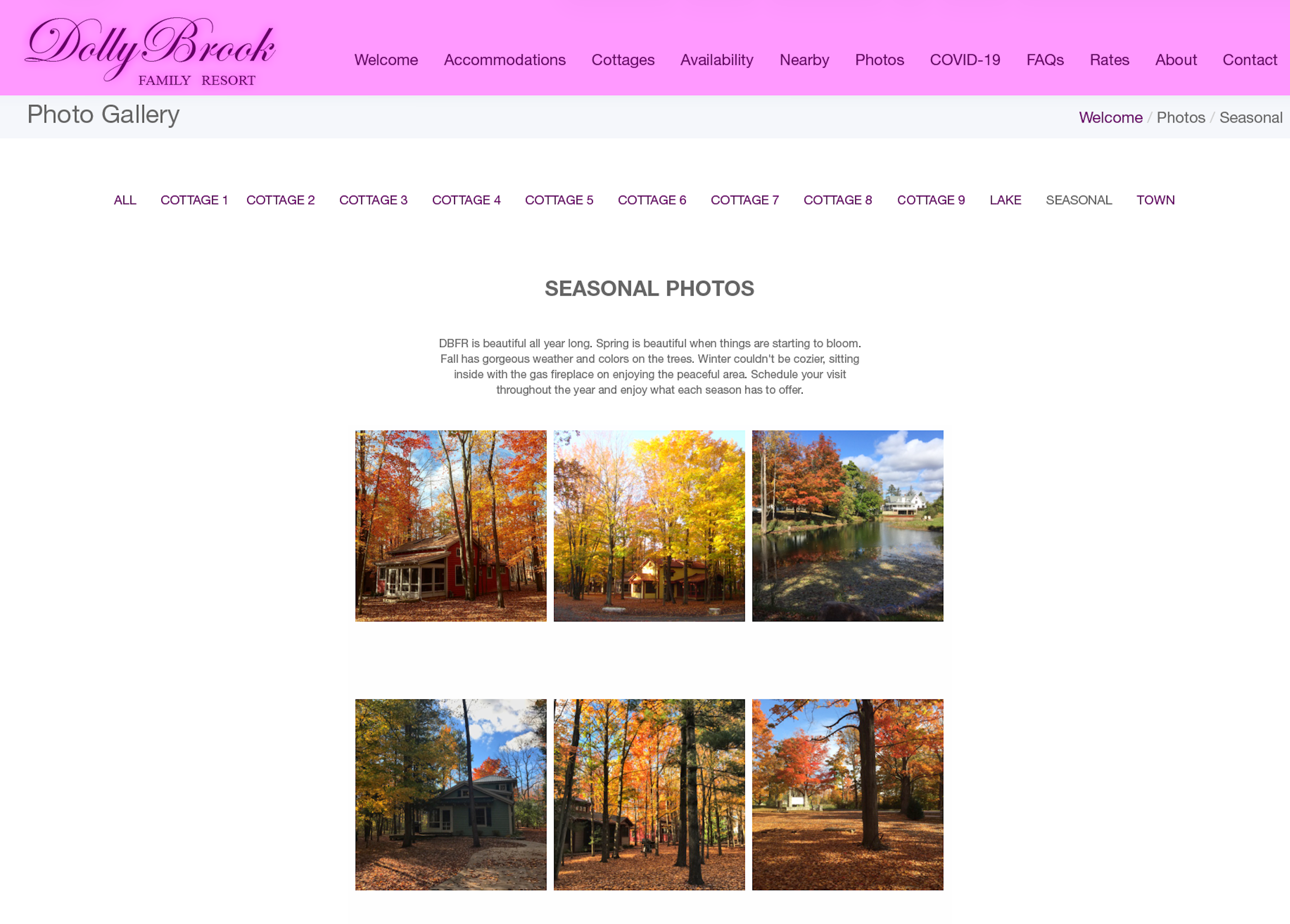 Dollybrook Family Resort